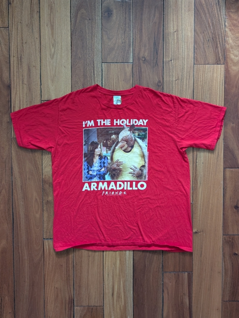 Friends Holiday Armadillo T-shirt (XL)